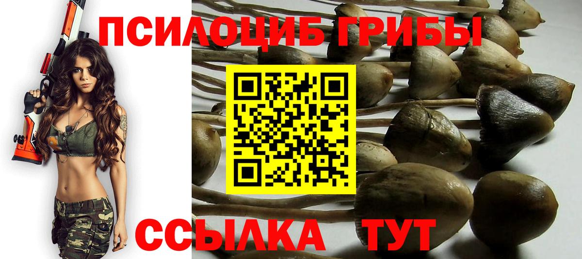 Первоуральск  Галлюциногенные грибы прущие грибы  Вход с VPN  Галлюциногенные грибы Psilocybe 
