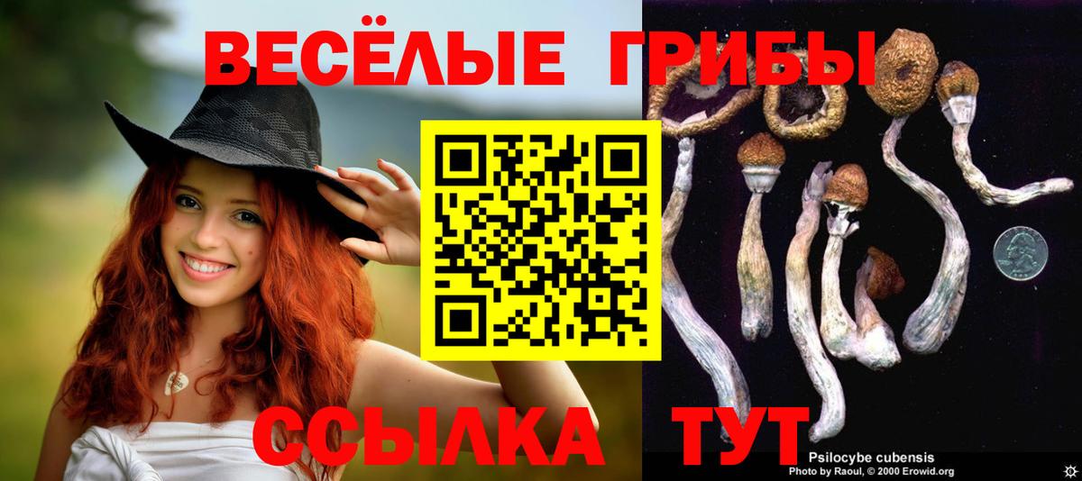 Псилоцибиновые грибы прущие грибы Первоуральск